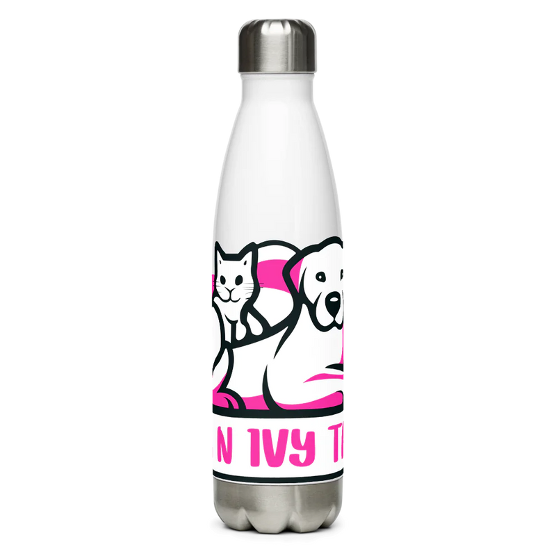 Stainless Steel Water Bottle