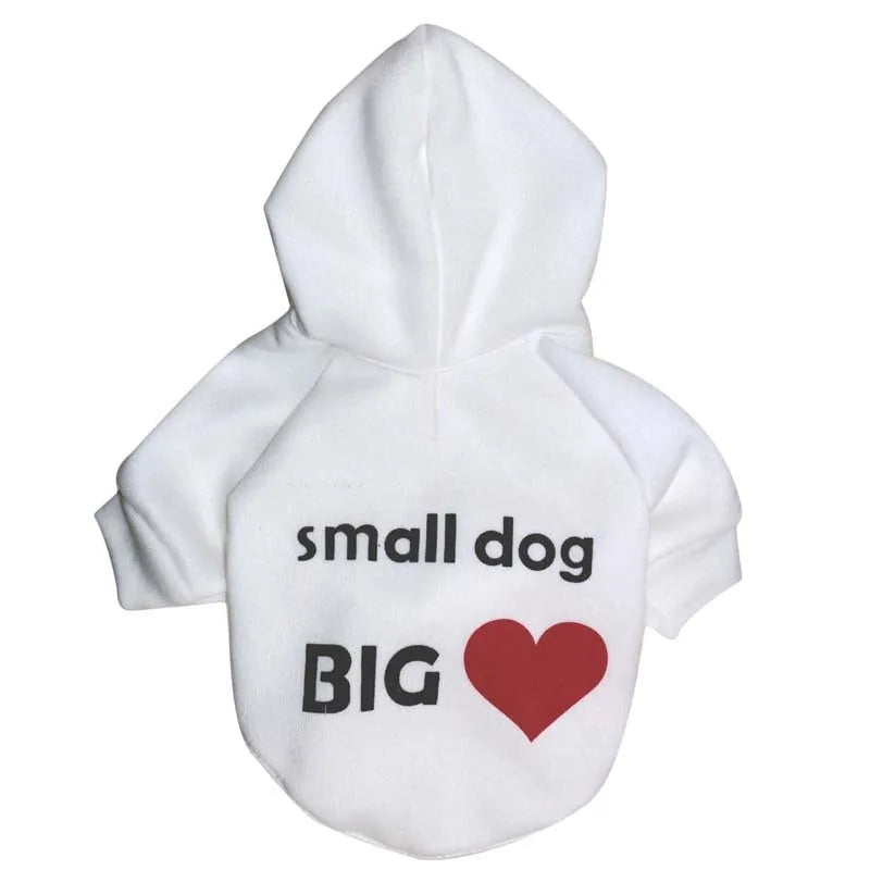 Cool Quote Dog Clothes - Trendy & Cozy Outfits with Witty Sayings for Dogs