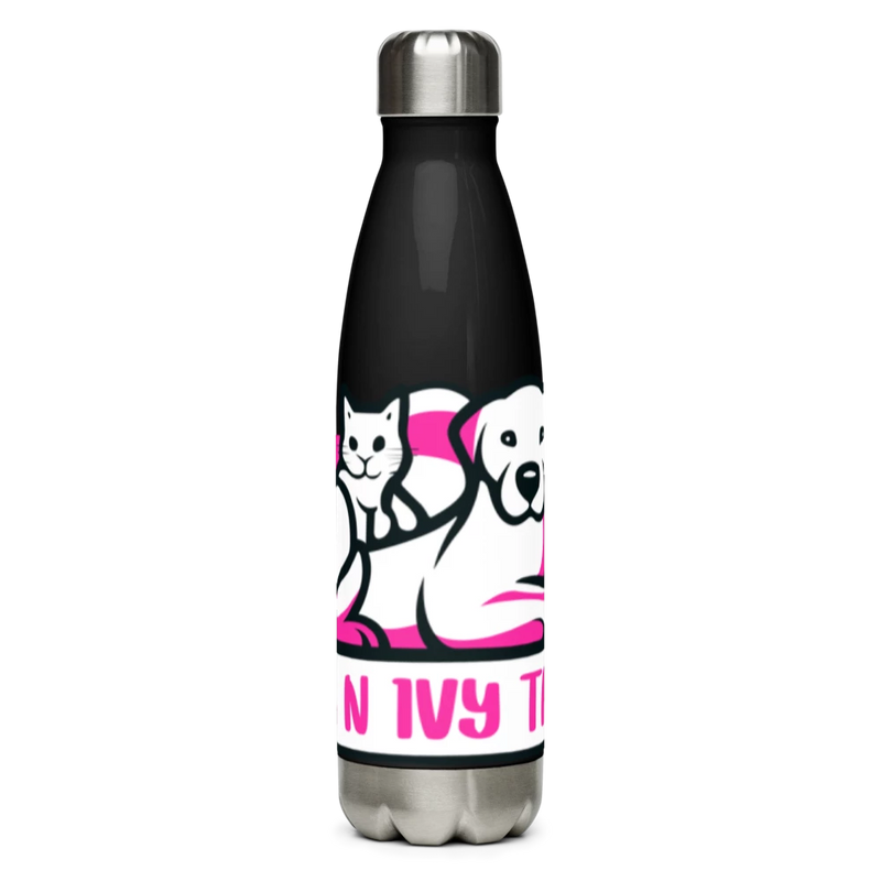 Stainless Steel Water Bottle