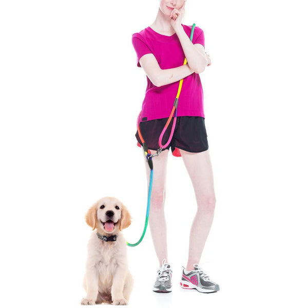 Nylon Dog Leashes Traction Rope