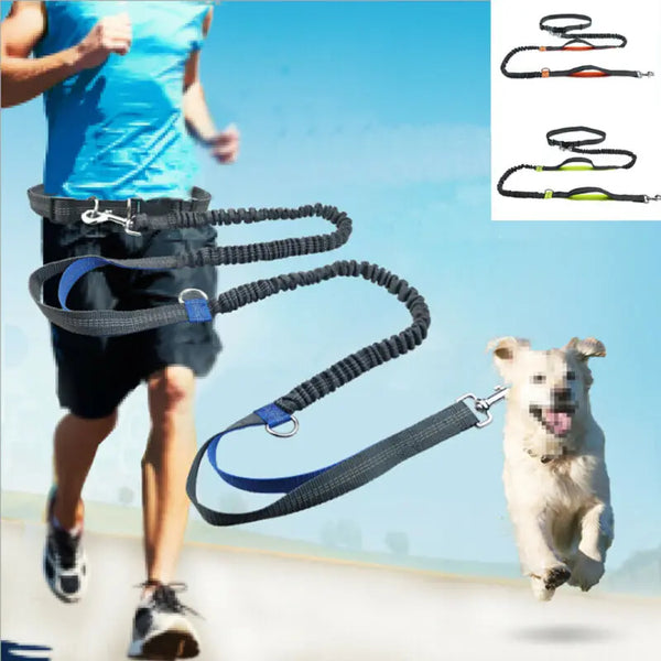 Reflective Leash Traction Rope Belt