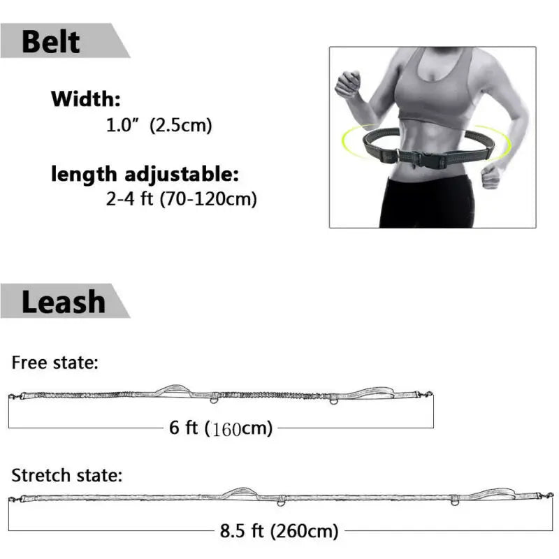 Reflective Leash Traction Rope Belt