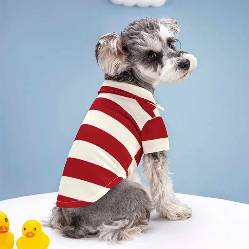 Pet Polo Shirt for Cats & Dogs | Stylish and Comfortable Pet Clothing For All Seasons