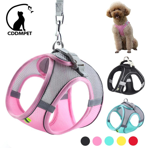 Dog Harness Leash Set for Small Dogs