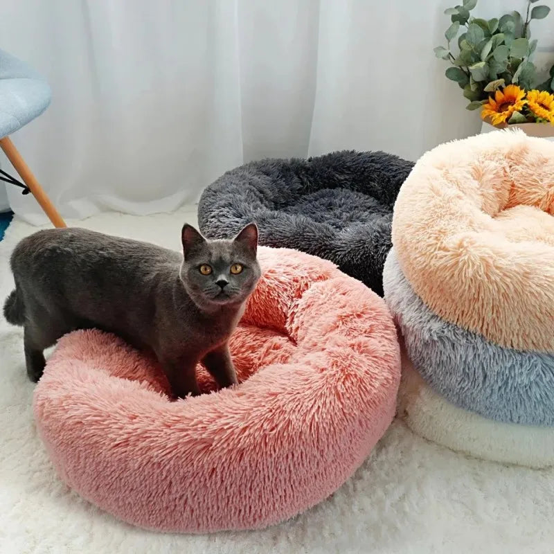 Cushion Cat Bed Cat Mat Animals Sleeping Sofa