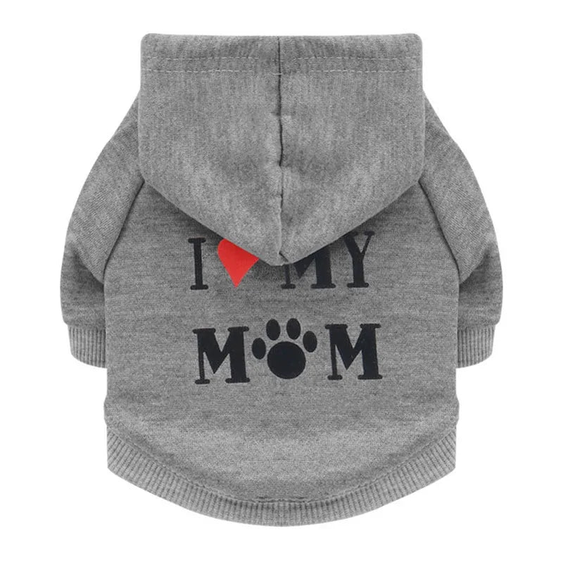 Cool Quote Dog Clothes - Trendy & Cozy Outfits with Witty Sayings for Dogs