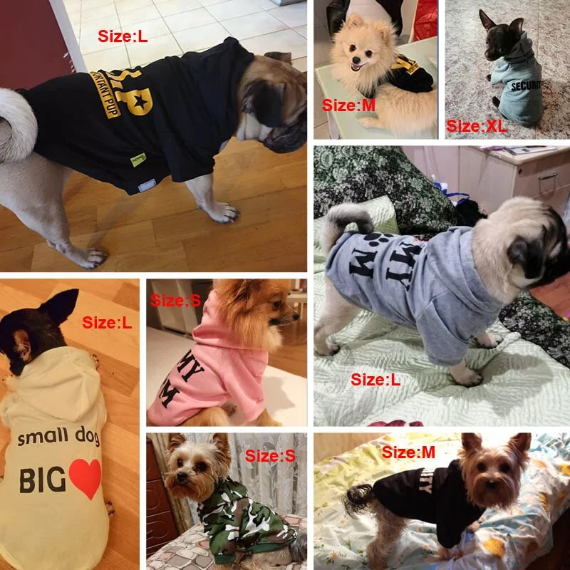 Cool Quote Dog Clothes - Trendy & Cozy Outfits with Witty Sayings for Dogs