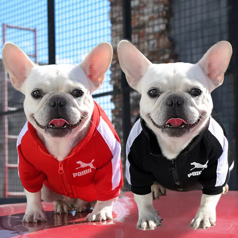 Puma Pet Sweatshirt - Trendy & Comfortable