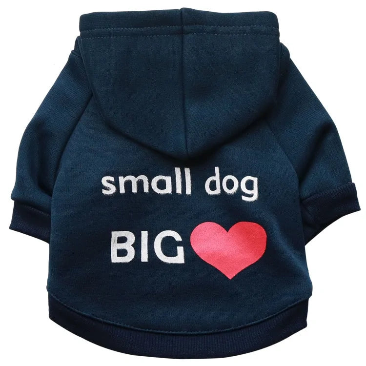 Cool Quote Dog Clothes - Trendy & Cozy Outfits with Witty Sayings for Dogs