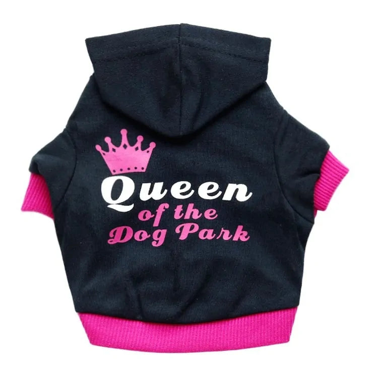 Cool Quote Dog Clothes - Trendy & Cozy Outfits with Witty Sayings for Dogs